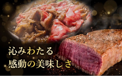 【2025年11月以降順次発送】【3回定期便】希少な特選石垣牛をご家庭で！！全3回合計1.1kg　上赤身（ウチモモ、シンタマ、ランプ）焼肉用とステーキ各400gずつ、肩ロースしゃぶしゃぶ用300g &