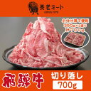 【ふるさと納税】飛騨牛　切り落し　700g(350g×2盛りで小分け済)【配送不可地域：離島】【1503571】