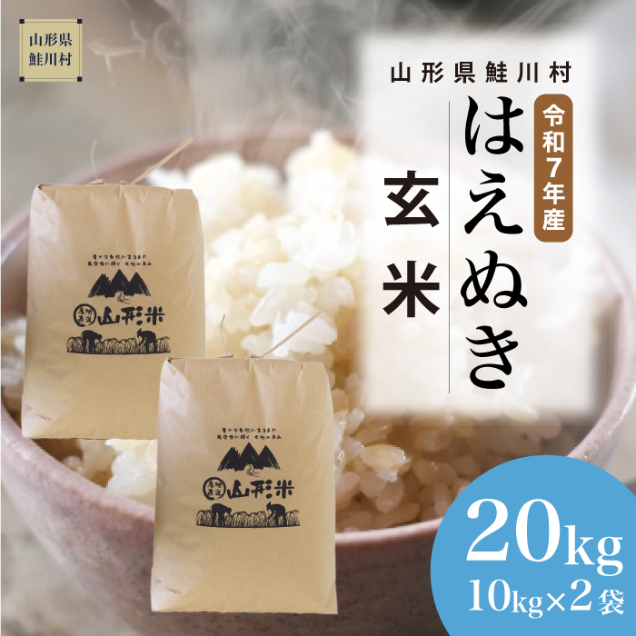 令和7年産　山形県産 はえぬき 【玄米】 20kg （10kg×2袋） 数量限定　配送時期指定できます！　鮭川村
