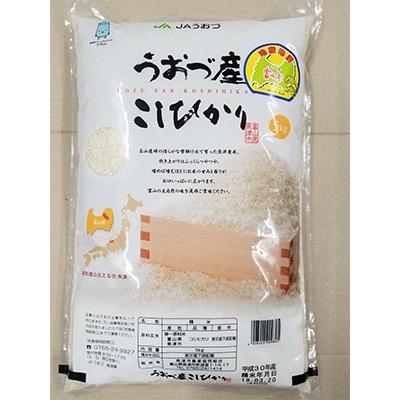 ふるさと納税 魚津市 コシヒカリ白米5kg富山県うおづ産