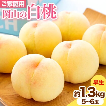 【先行予約】ご家庭用 岡山の白桃 早生種 約1.3kg 晴れの国 おかやま館(つむぐ株式会社) 《6月下旬-7月中旬頃出荷》岡山県 浅口市 白桃 桃 もも 果物 フルーツ 送料無料【配送不可地域あり】（離島）