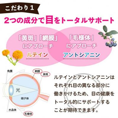 ふるさと納税 日置市 【てまひま堂】ルテイン&アントシアニン(1袋62粒入り×3袋)鹿児島　日置市　1日2粒目安 |  | 02