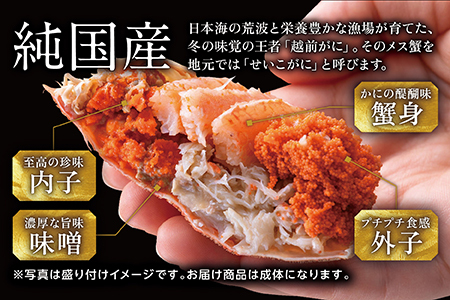 【冷蔵発送】越前がに（メス）「せいこがに」訳あり 150g前後 ×  10杯