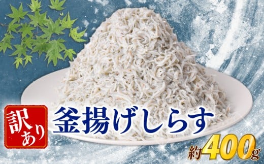 訳あり 釜揚げしらす 約400g しらす 冷凍 大容量 惣菜 便利 弁当 晩ごはん 白州 白子魚介類 魚介類 海鮮 わけあり 小魚 魚 鮮魚 グルメ 人気 海の幸 ふりかけ ちりめん しらすご飯 国産 じゃこ しらす丼 人気 塩分控えめ 減塩 安芸市 高知県