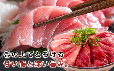 （冷凍） 本まぐろ 赤身 中トロ×2 詰合せ２～３人前【No.516】伊勢志摩まぐろ食堂 ／ 本鮪 専門店 お刺身専用 粗びき塩 三重県 南伊勢町