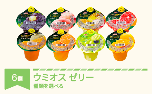 
                  ウミオス(マルハニチロ) カップゼリー フルティシエ ちょっと贅沢シリーズ 6個入×1箱 ku-czxxx6
                