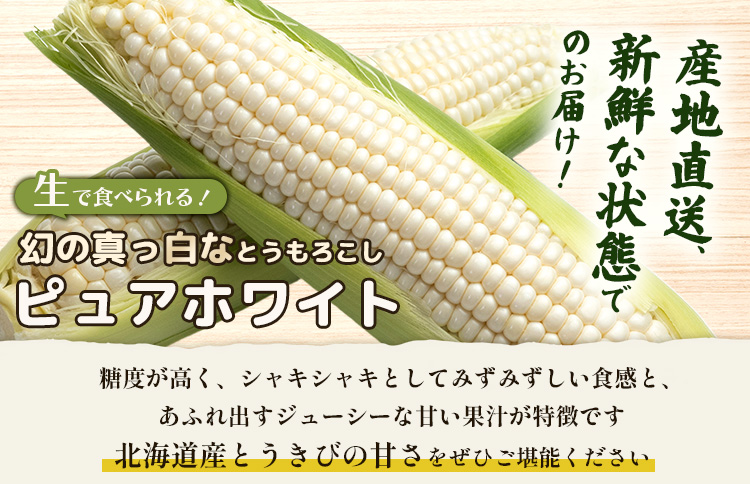 【先行予約】上原農場直送 有機栽培とうもろこし (ピュアホワイト)  約30kg 約65本前後 | ふるさと納税 北海道 中標津 なかしべつ とうもろこし ピュアホワイト とうきび コーン 野菜 夏野