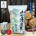 【ふるさと納税】「令和6年産新米受付予約開始！」《 定期便 》 山里清流米こしひかり 10kg ( 5kg × 2袋 ) × 6回 ( 隔月 ) 米 お米 おこめ 新米 コシヒカリ 定期産 10kg 精米 人気 ランキング おすすめ 小松市 こまつ 石川県 ふるさと 納税 132010【ジャパンファーム】