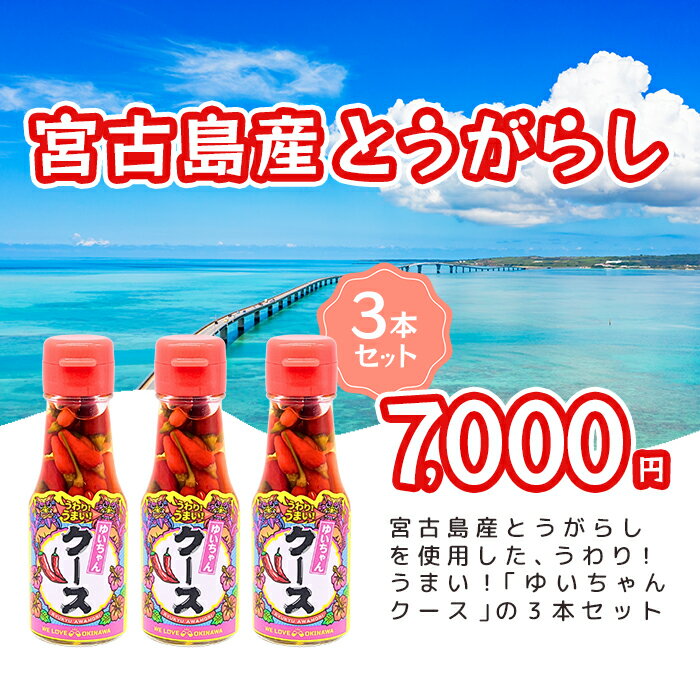 【ふるさと納税】うわり！うまい！「ゆいちゃんクース」3本セット（DQ041）