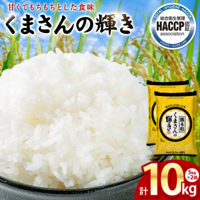 ふるさと納税 八代市 《令和7年産》くまさんの輝き 5kg×2袋 合計10kg  熊本県_274-6648