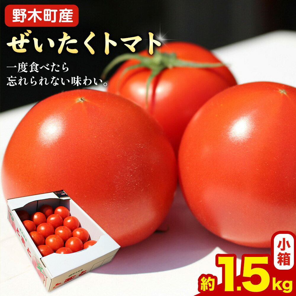 【先行予約】【ふるさと納税】トマト ぜいたくトマト 約1.5kg 小箱 栃木県 野木町産 矢畑むらづくり組合 《2025年10月上旬-2026年5月末頃出荷》栃木県 野木町 トマト 野菜 新鮮
