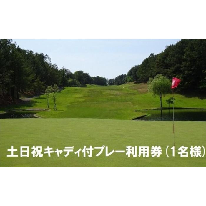 【ふるさと納税】エリエールゴルフクラブ松山 土日祝キャディ付プレー利用券1名