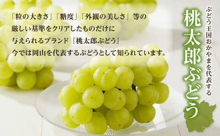 【2026年発送分　先行受付開始！】びぜん葡萄「桃太郎ぶどう」（ハウス栽培）約2㎏入（令和8年8月中旬～9月中旬頃発送）【 岡山県備前市産 桃太郎ぶどう 果物 フルーツ ハウス栽培 約2kg （3～5
