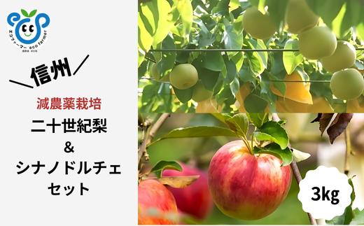 HF35-25A 【信州松川町産】二十世紀梨＆シナノドルチェ 梨とりんご2種セット 約3kg ／9月後半発送開始予定  // 長野県 南信州  減農薬栽培 りんご シナノドルチェ 洋梨 二十世紀梨 20世紀 ２０世紀