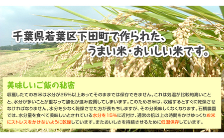 コシヒカリ 若葉の舞 白米 千葉県産 コシヒカリ【5kg】【定期便3回】