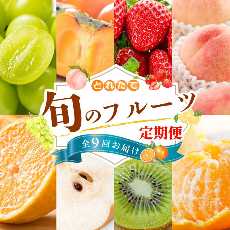 【ふるさと納税】 【フルーツ定期便・全9回】品質に自信あり！くしがきの里から直送　人気の果物を贅沢に楽しめる♪ / 定期便 桃 もも みかん 柑橘 シャインマスカット ぶどう 柿 キウイ マスカット いちご 不知火 はれひめ イチゴ 苺 果物 フルーツ 9回