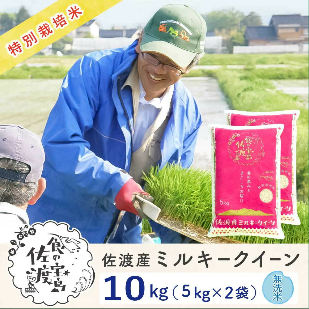 【ふるさと納税】佐渡島産ミルキークイーン 無洗米10kg(5kg×2袋) 令和7年産 特別栽培米 | お米 こめ 白米 食品 人気 おすすめ 送料無料