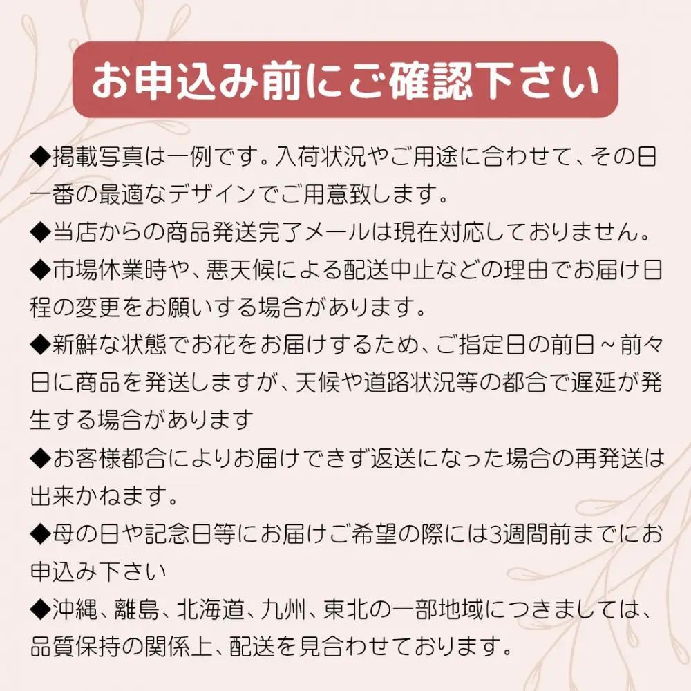 豪華なカサブランカの花束【花 】