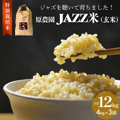 ふるさと納税 玖珠町 《先行受付》令和7年産 原農園 JAZZ米 (玄米) 4kg 3回定期便 品種おまかせ