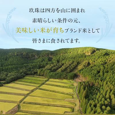 ふるさと納税 玖珠町 【令和7年産】湧水育ち ひとめぼれ 10kg 白米 米 お米 こめ コメ ヒトメボレ 玖珠産 |  | 01
