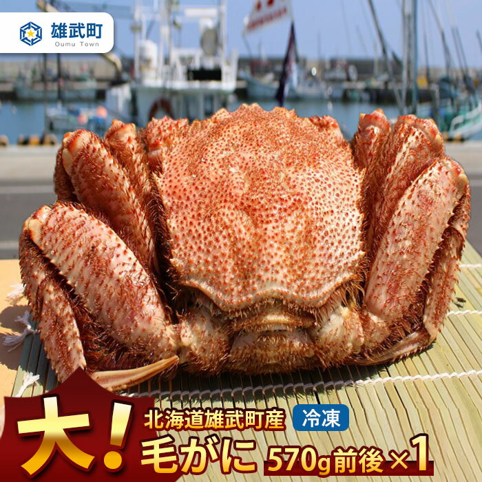 【ふるさと納税】オホーツク産 大 毛ガニ 冷凍 570g かに 蟹ミソ かにみそ 焼きがに かに鍋 北海道 ふるさと納税 雄武 雄武町【1240201】