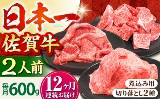【全12回定期便】おふたりさま向け 佐賀牛 普段使いセットA【田中畜産牛肉店】 [HBH069]