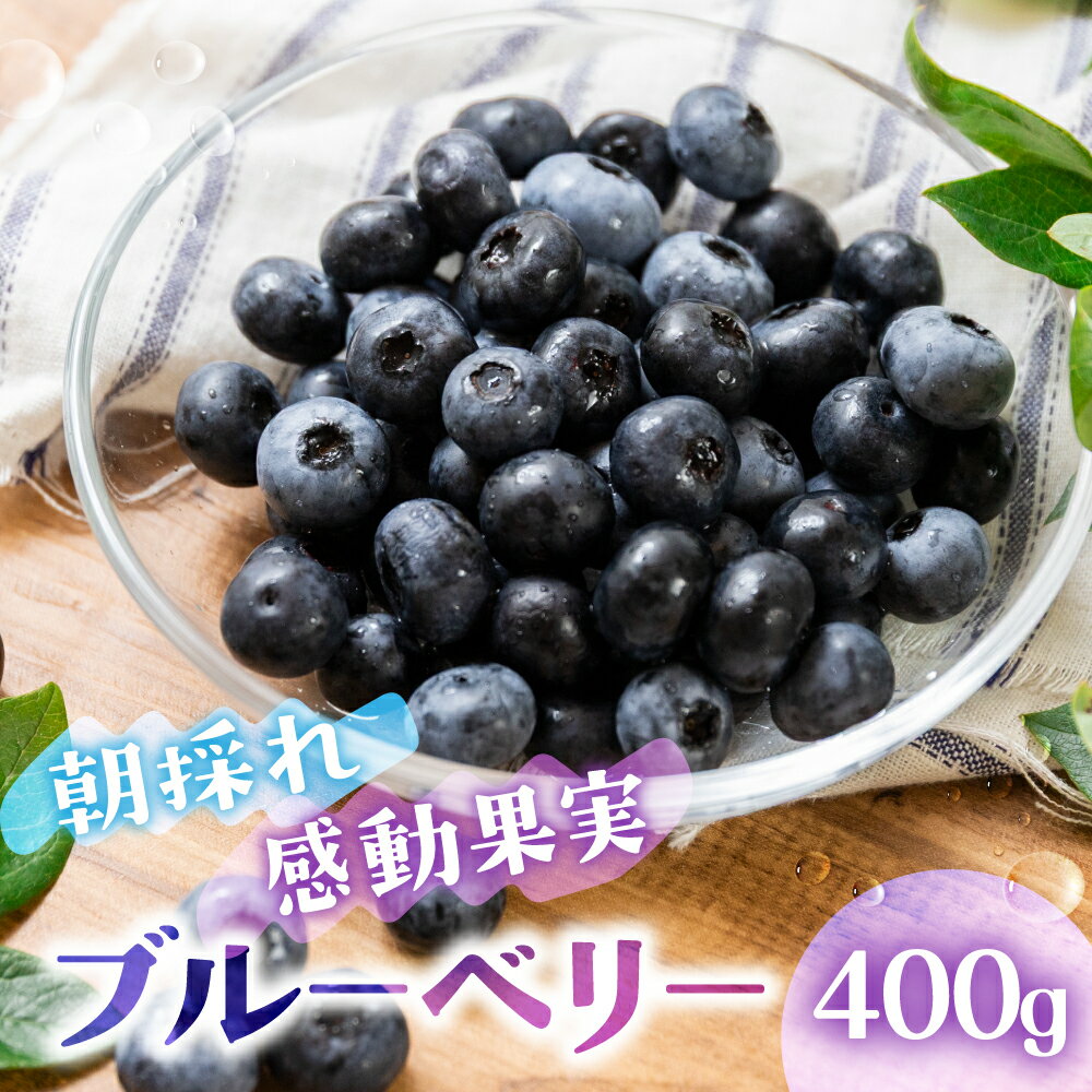 【ふるさと納税】≪先行予約 2026年発送≫ 生ブルーベリー 400g 6～8月 贈答用 100g×4パック ブルーベリー 農園直送 愛知県 豊橋市