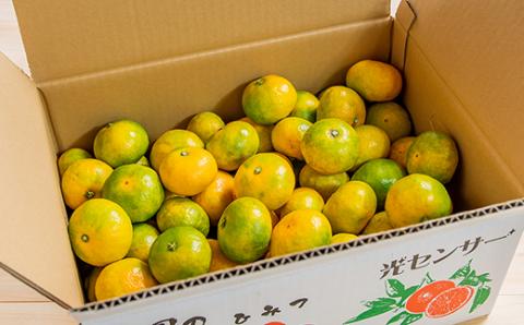 【糖度10.5度以上】 みかん『南国の陽蜜』5kg 　宮崎県西都市産【先行予約】＜1-220＞
