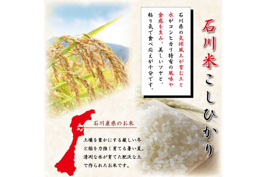 米 定期便 石川米こしひかり【穂立】5kg×6回 総計30kg [中橋商事 石川県 宝達志水町 38601131] コシヒカリ お米 コメ_イメージ2