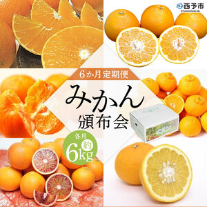 【６か月定期便】みかん頒布会 ３種×各２kg UUB0042