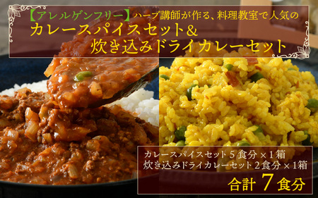 ハーブ講師が作る 教室で人気のカレースパイスセット （5食分 × 1箱） & 炊込みドライカレー （2食分 × 1箱）お米（無洗米）付き【アレルゲンフリー】【スパイス スパイスカレー スパイスセット カレーパウダー おうちカレー カレー粉 香辛料 セット 手作り キット ドライカレー 薬膳カレー スープカレー ギフト】 [A-13005]