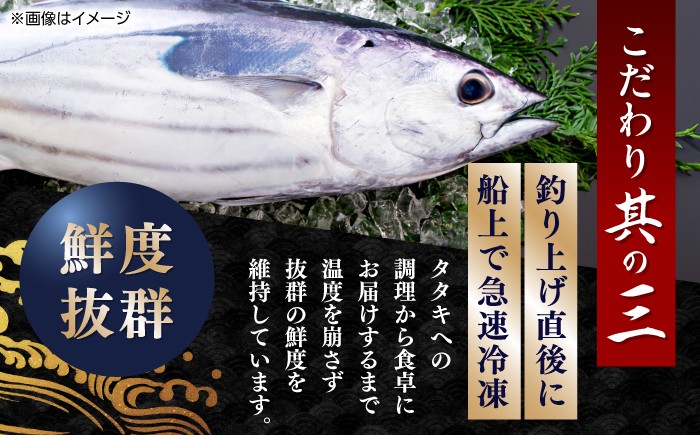 魚介類 魚 お魚 刺身 かつお カツオ 高知 新鮮 たたき タタキ 贈答 贈り物 プレゼント