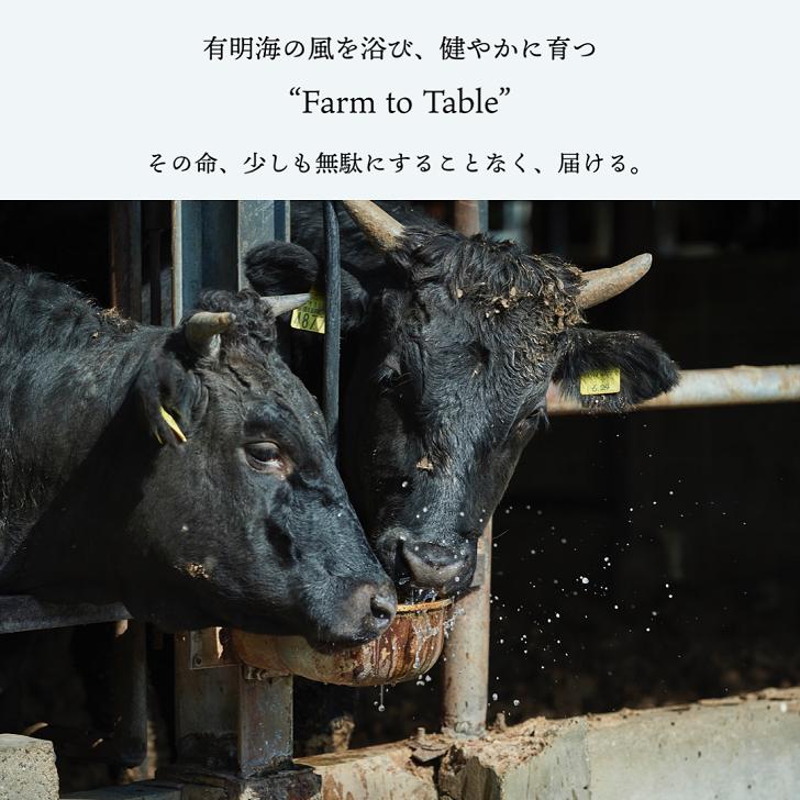 【定期便3回】【牧場直送】佐賀産黒毛和牛 赤身焼肉用 300g：B370-002_イメージ3