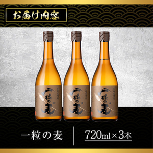 No.913 一粒の麦(720ml×3本)焼酎 麦焼酎 酒 アルコール 麦 家飲み 宅飲み 大麦 大麦麹 常温 常温保存【西酒造】