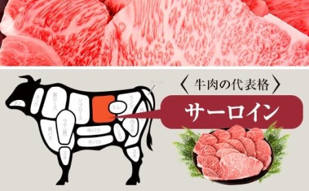 鹿児島県産黒毛和牛ｻｰﾛｲﾝｽﾃｰｷ 1kg 名産鹿児島和牛かんだ本店 鹿児島 黒毛和牛 和牛 サーロイン ステーキ 自社農場 JS-210