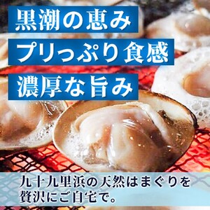 はまぐり 訳あり 大はまぐり 1.6kg はまぐり