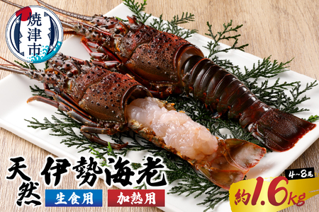 伊勢海老 三昧セットB 刺身用＋焼物用 (a80-031)