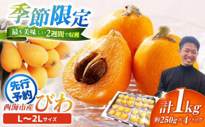 
                  びわ 【先行予約】 西海市産 びわ 約1kg L～2Lサイズ ビワ biwa ＜パッパラパー農園＞ [CFI002] 長崎県 西海市産 びわ ビワ 琵琶 果物 フルーツ 果実 甘い びわ 産地直送 お取り寄せびわ 高糖度 びわ biwa くだもの 国産 贈答 ギフト 枇杷 希少 ジューシー 特産品 びわ ビワ 初夏 西海市産 国産 新鮮 採れたて 大玉 Lサイズ 2Lサイズ ビワ 枇杷 甘い 
                