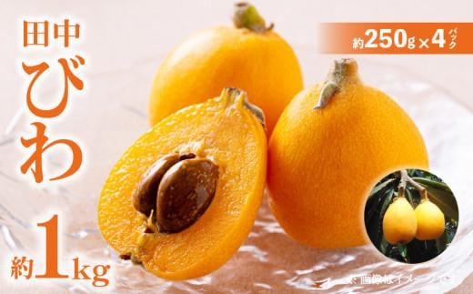 
            田中びわ 約1kg (約250g×4パック)【2025-6月上旬～2025-7月中旬配送】
          