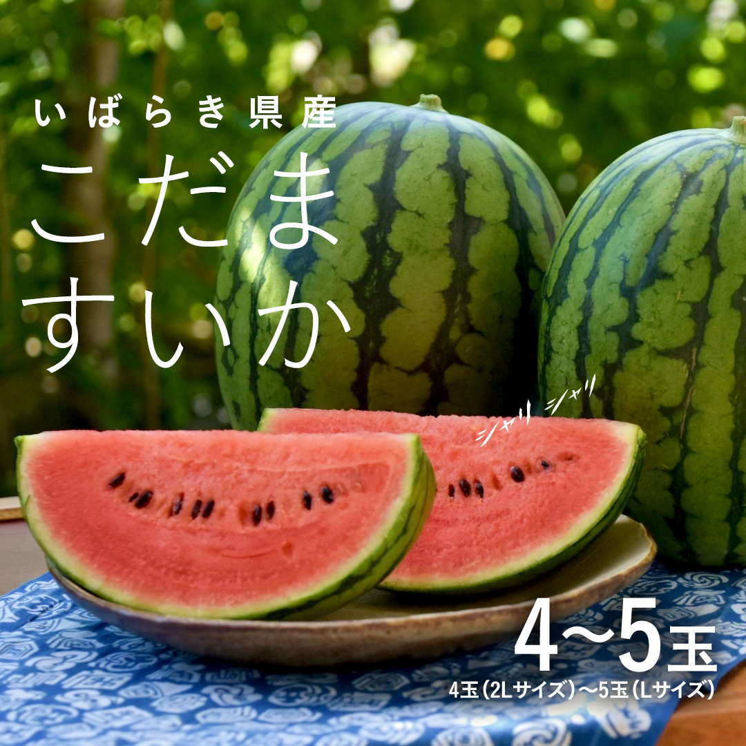 《 2027年 収穫分 》小玉スイカ 4～5玉 先行予約 JA北つくば 国産 夏 黒小玉 おやつ 小玉 スイカ 小玉すいか こだますいか こだまスイカ 小玉すいか 西瓜 フルーツ 果物 くだもの おやつ 旬 ギフト 贈答 茨城県 桜川市