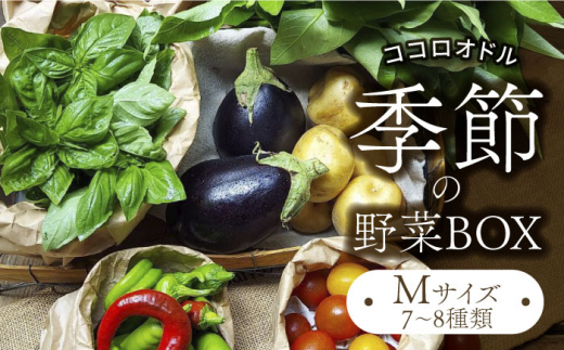 
季節の野菜BOX Mサイズ （7～8種類）【Farm Regalo】 [MDU002]
