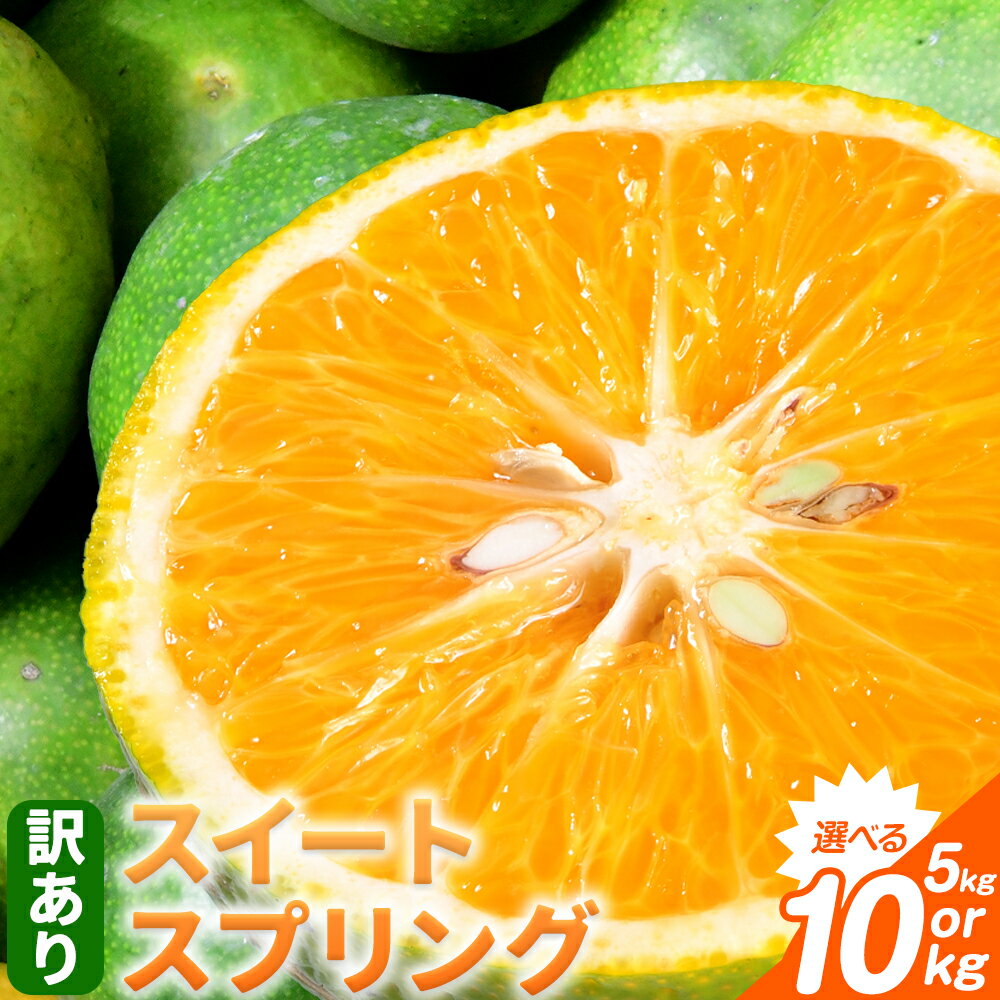【ふるさと納税】 先行予約 訳あり ご家庭用 スイートスプリング 約5kg 約10kg 　柑橘 かんきつ 果物 フルーツ 品種 生産者直送 産地直送 南国 潮風 天草 西海岸 苓北 都呂々 国産 九州 熊本県 5キロ 10キロ 送料無料《12月上旬-1月下旬頃出荷》