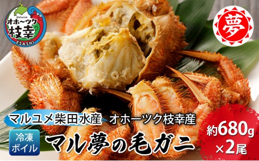 
                  オホーツク枝幸産 マル夢の毛ガニ約680g×2尾【冷凍ボイル】柴田水産【 枝幸産 毛ガニ 蟹 かに カニ 北海道 オホーツク 枝幸 】
                
