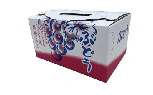 有機栽培シャインマスカット　約1kg(2〜5房)(B1103-1)