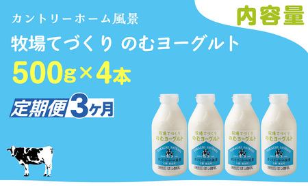 【定期3ヶ月】のむヨーグルト 500g ×4 SKB044