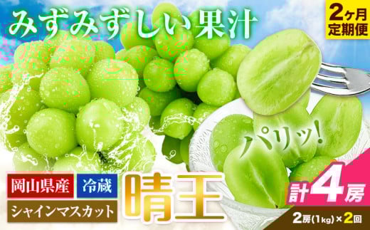 シャインマスカット 2ヶ月 定期便 岡山県産【2026年先行予約】 シャインマスカット 晴王 2房 約1kg《2026年9月上旬-10月末頃出荷(土日祝除く)》 ハレノフルーツ マスカット 送料無料 岡山県 浅口市 フルーツ 果物 贈り物 ギフト 国産 岡山県産 くだもの【配送不可地域あり】