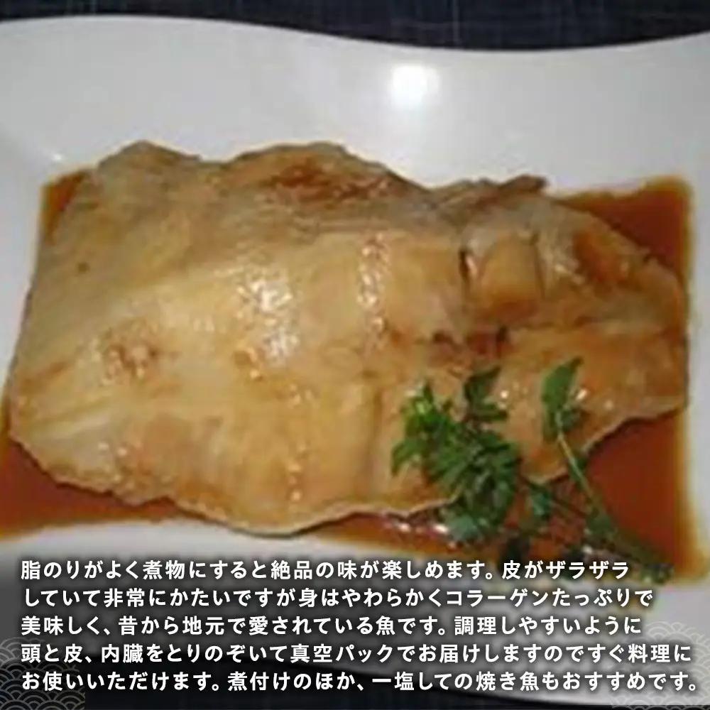 羅臼産　サメがれい(むきがれい)｜北海道　魚介類