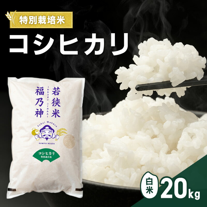 【ふるさと納税】令和7年産 特別栽培米 コシヒカリ 20kg（白米） 米 お米 こしひかり 若狭町　お届け：2026年4月上旬～7月中旬