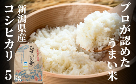 【令和7年産新米予約】新潟県産コシヒカリ ５kg 特別栽培米『ひすいの雫』令和7年産 糸魚川 こしひかり コシヒカリ おすすめ 精米 白米 磯貝農場 米 コメ