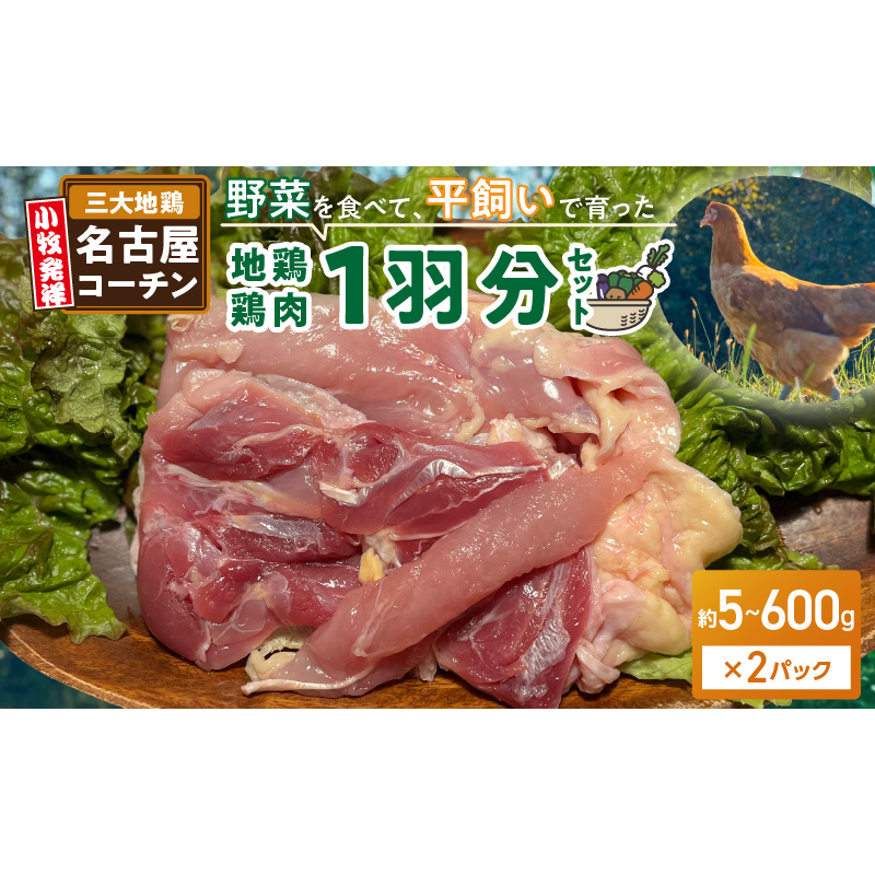 『スマイルファーム桃花台』名古屋コーチン肉 １羽分セット［154T04］名古屋コーチン １羽分 セット 2パック 肉 鳥 鶏 地鶏 鶏肉 日本三大地鶏 国産鶏肉 むね肉 もも肉 ササミ 生肉 焼肉